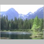 PLESO2.JPG