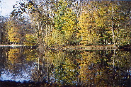 Herbst im Schloßpark Nymphenburg