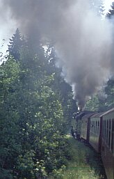  Mit Dampf in den Harz 