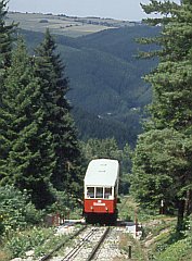aufgebockter Wagen