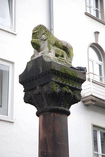 Bonner Löwe