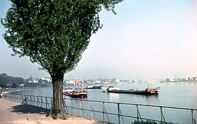 Rheinpromenade