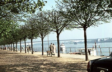 Rheinpromenade
