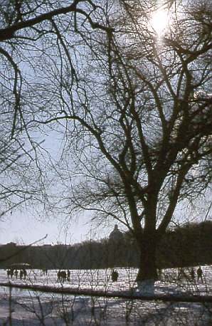 Wintersonne