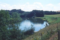 Alzbogen nördlich Truchtlaching