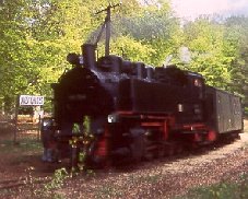 Rasender Roland am Jagdschloß