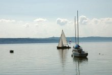Foto lange Seite 220px