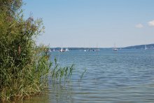 Foto lange Seite 220px