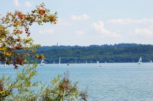 Foto lange Seite 220px