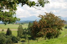 Foto lange Seite 220px
