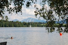 Foto lange Seite 220px