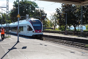 einfahrender Triebwagenzug in SBB-Lackierung mit Aufschrift 'Seehas', rechts schimmert unter Bäen hindurch das Wasser des Bodensees