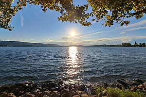 Blick unter Bäumen hindurch auf See mit tiefstehender Sonne und Reflexion auf der Wasseroberfläche, im Hintergrund Ufer, links mit Hügelkette